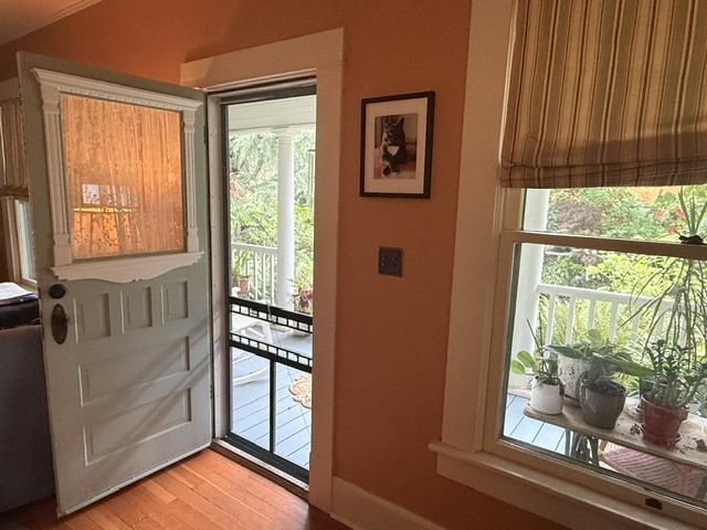 An open front door onto a covered porch, with houseplants on the windowsill